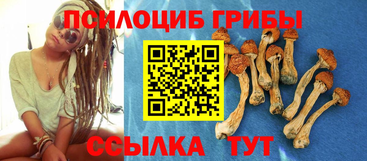 Кинель  Галлюциногенные грибы ЛСД  Галлюциногенные грибы Magic Shrooms  Вход с VPN 