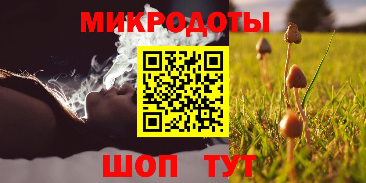 Псилоцибиновые грибы мухоморы Кинель