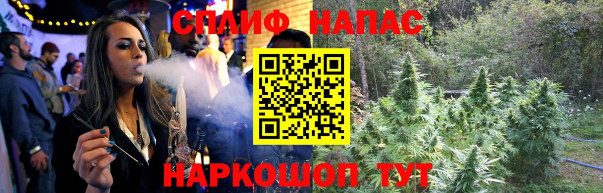 Бошки марихуана марихуана  Бошки марихуана планчик  Канабис гибрид  Вход с VPN  Конопля планчик  Кинель 