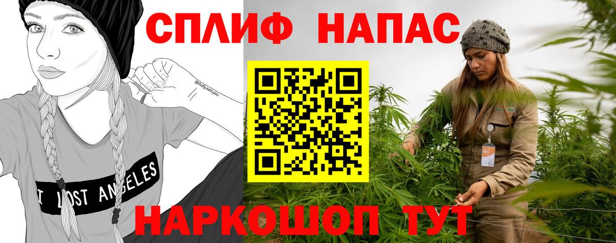 Канабис конопля Кинель